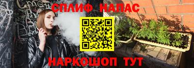 прущие грибы Аргун