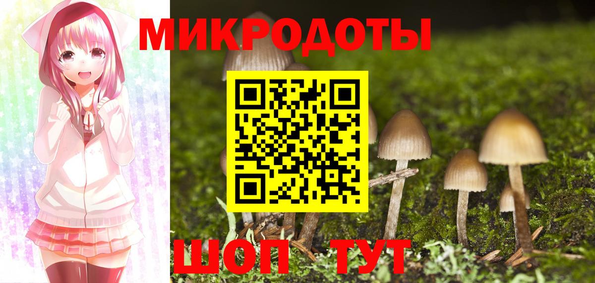 Псилоцибиновые грибы Psilocybe  Вход с VPN  Балашиха 